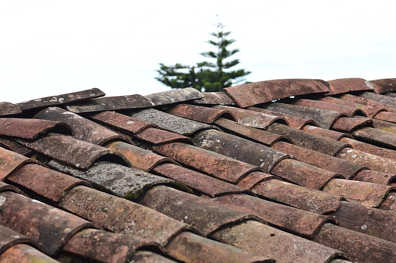 brown roof shingles