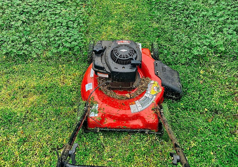 lawn maintenance