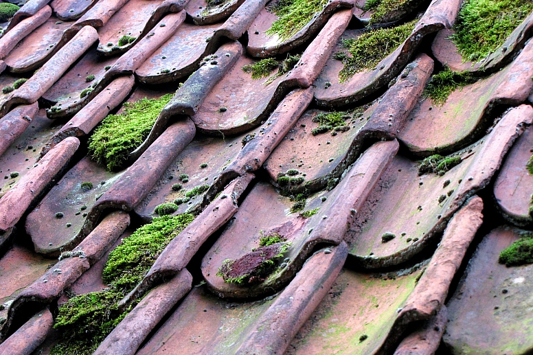 old roof